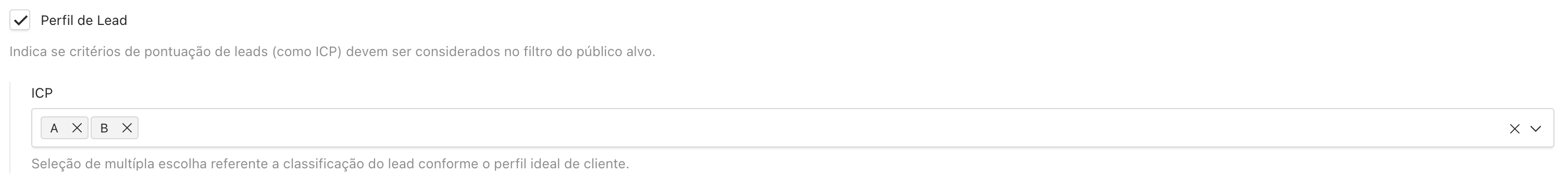 Público Alvo | Perfil ICP selecionado